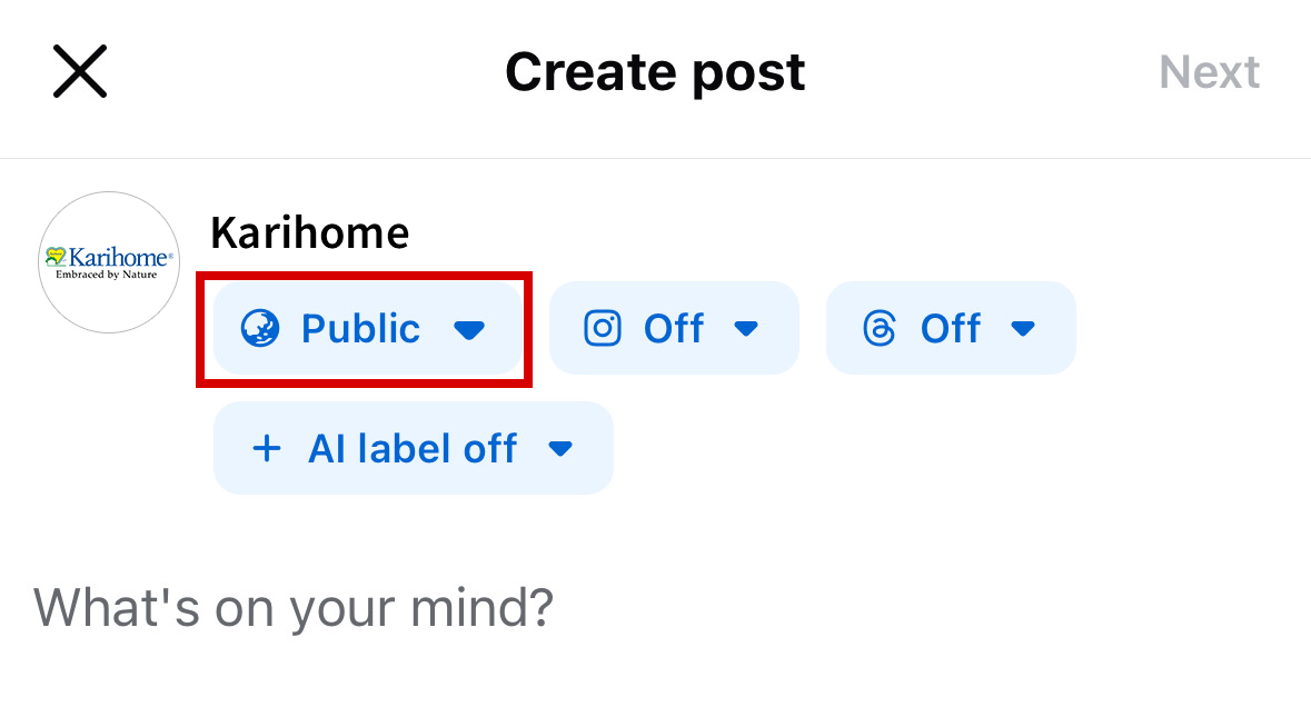 When posting on FB, set the post audience to 'Public'